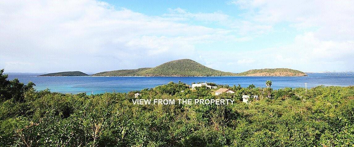 End of Road CAM PLAYA TAMARINDO, Culebra, PR 00775