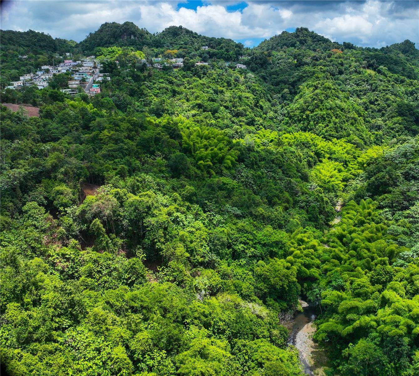 SR 146 Km. 19.4 Interior BO CORDILLERA, Ciales, PR 00638