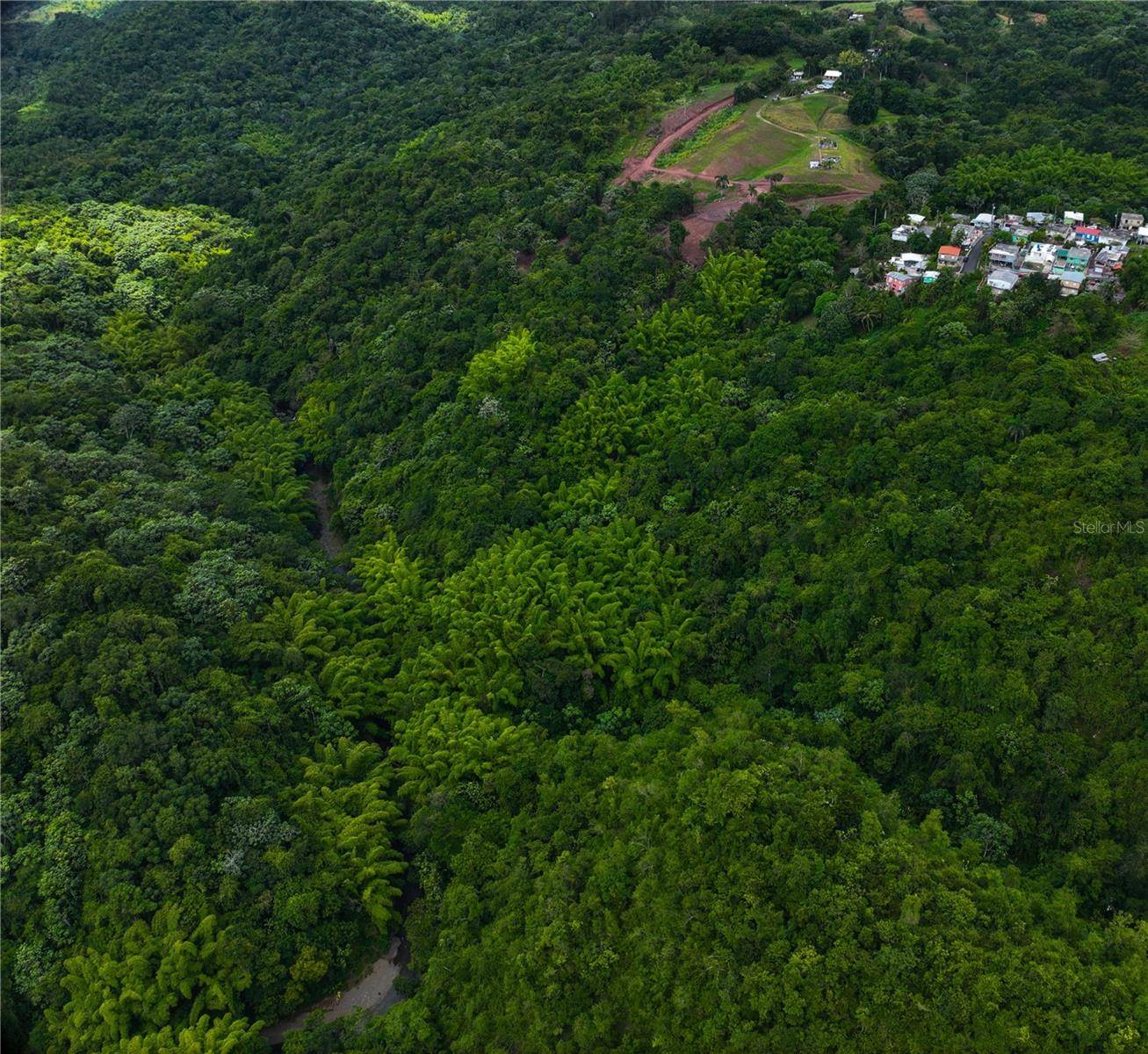 SR 146 Km. 19.4 Interior BO CORDILLERA, Ciales, PR 00638