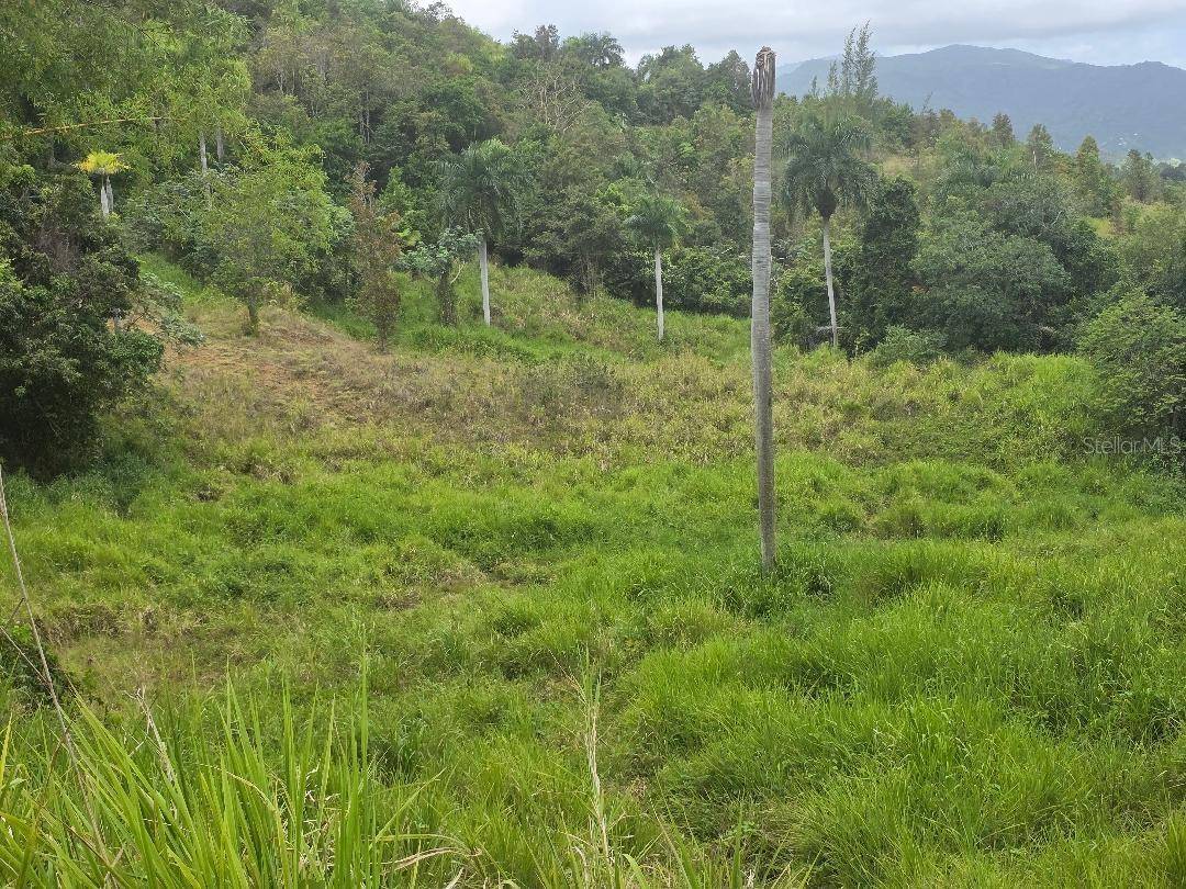 QUINTAS DE CEIBA #12, Ceiba, PR 00735