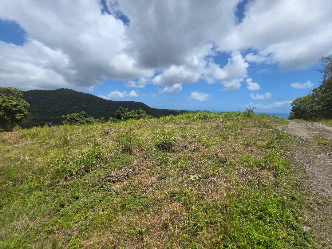 QUINTAS DE CEIBA #12, Ceiba, PR 00735