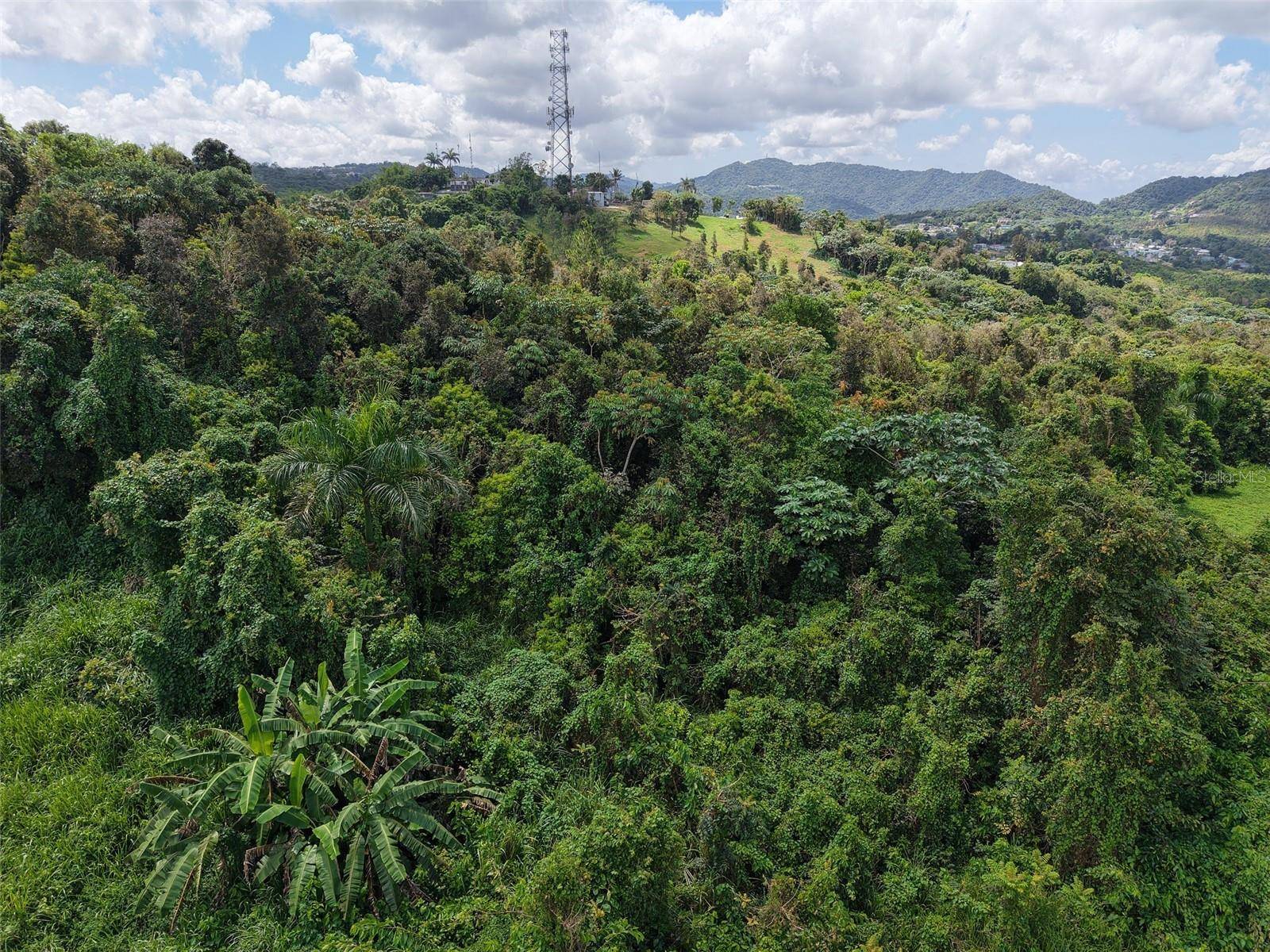 PR 7718 KM 3.6 PASTO WARD, Aibonito, PR 00705