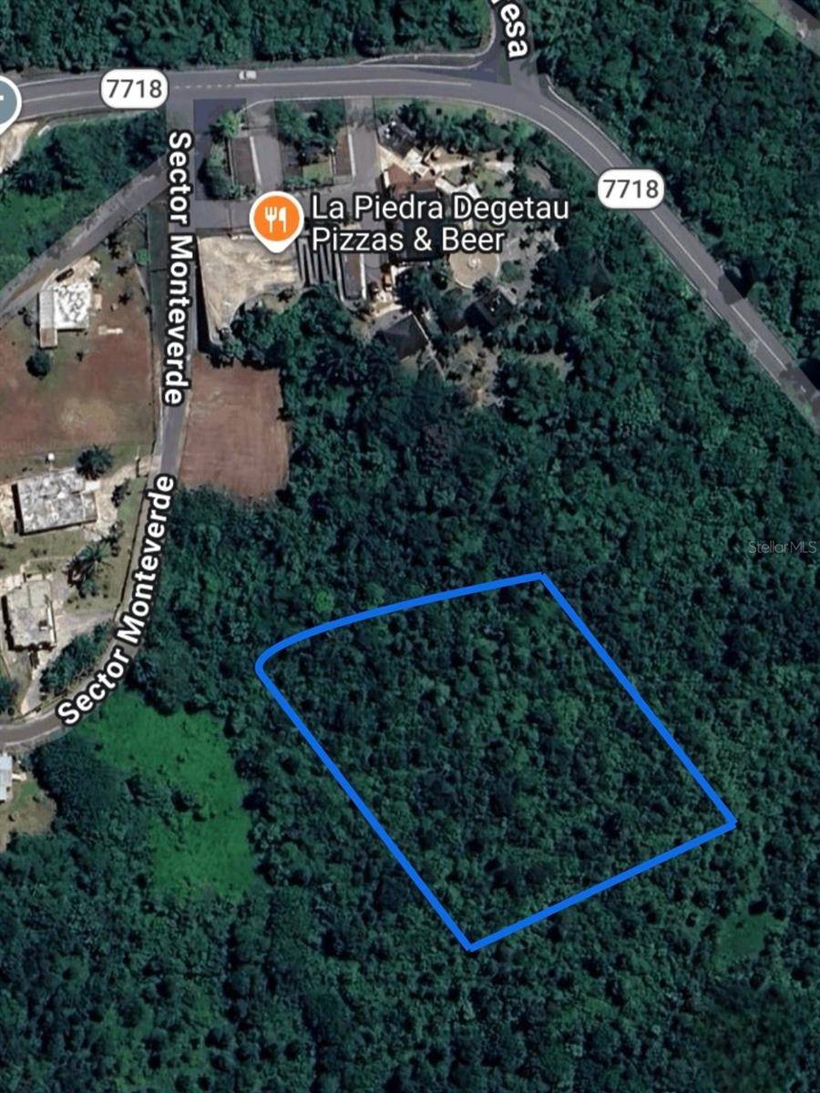 PR 7718 KM 3.6 PASTO WARD, Aibonito, PR 00705