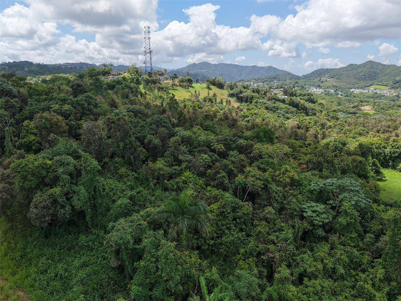 PR 7718 KM 3.6 PASTO WARD, Aibonito, PR 00705