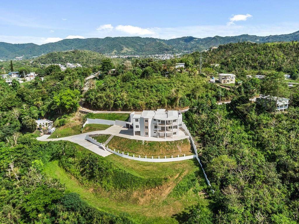 CARR 171 MOGOTE, Cayey, PR 00736