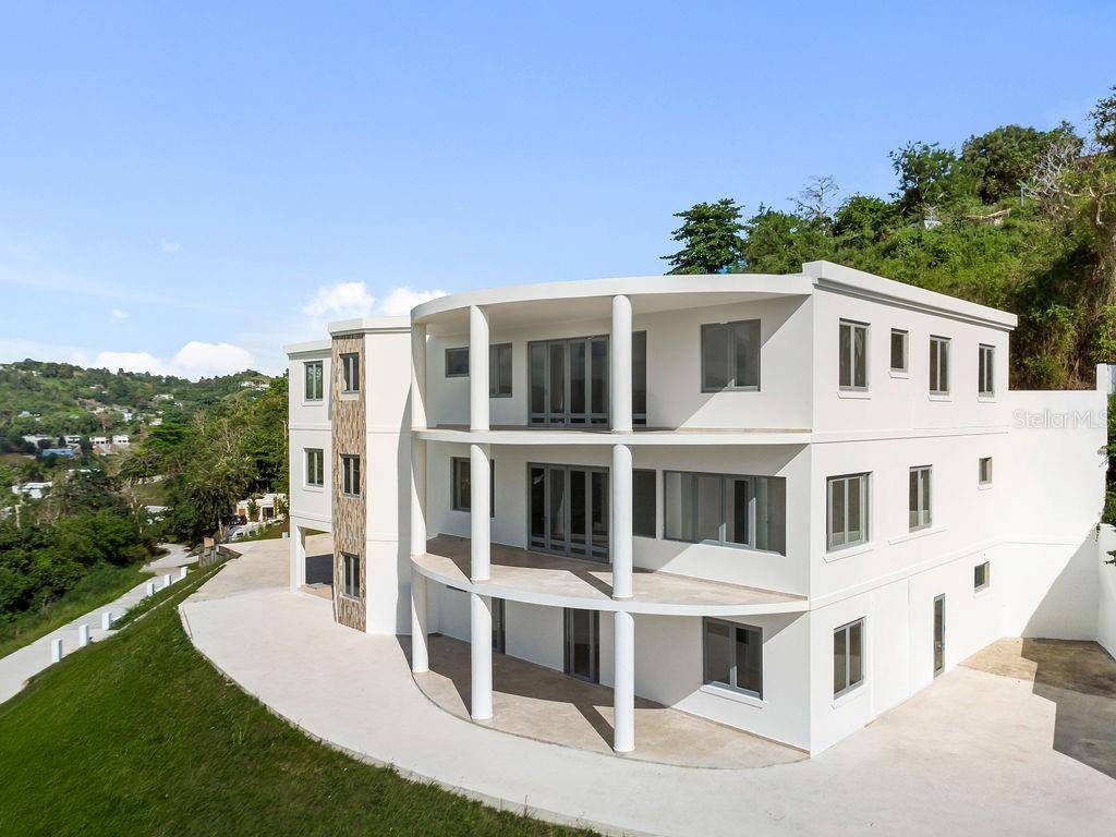 CARR 171 MOGOTE, Cayey, PR 00736
