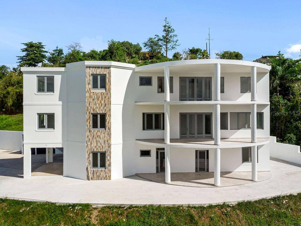 CARR 171 MOGOTE, Cayey, PR 00736