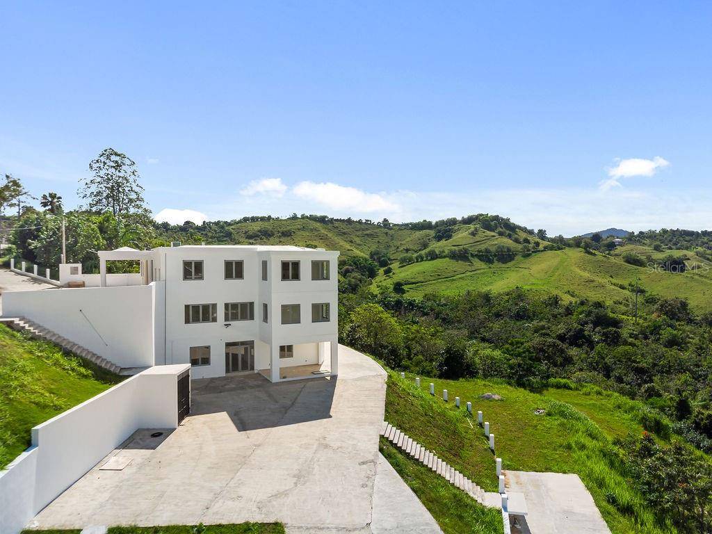 CARR 171 MOGOTE, Cayey, PR 00736