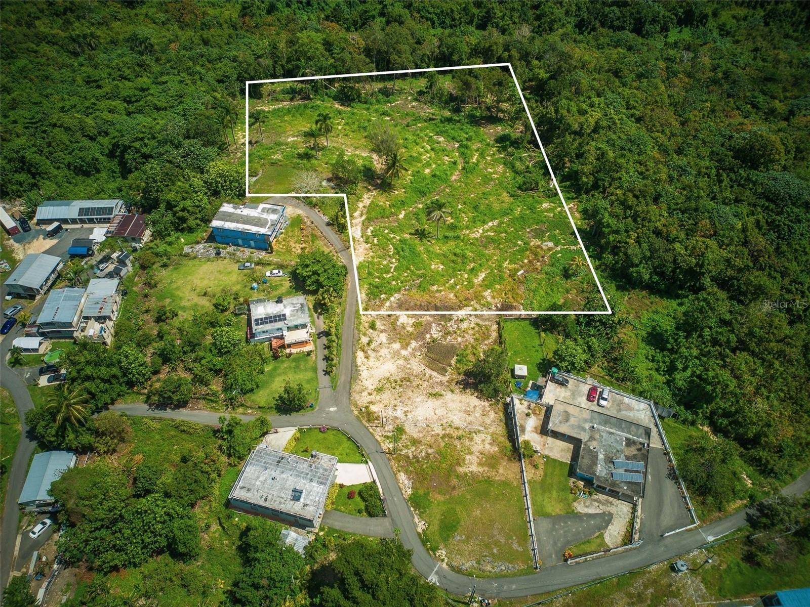PR-129 KM QUEBRADA, Camuy, PR 00627