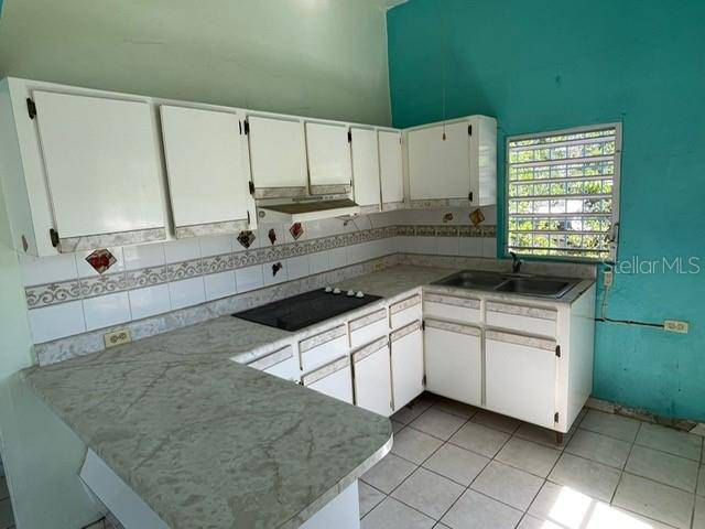 #10 Lina Corretjer CALLE VERDUM, Ciales, PR 00638
