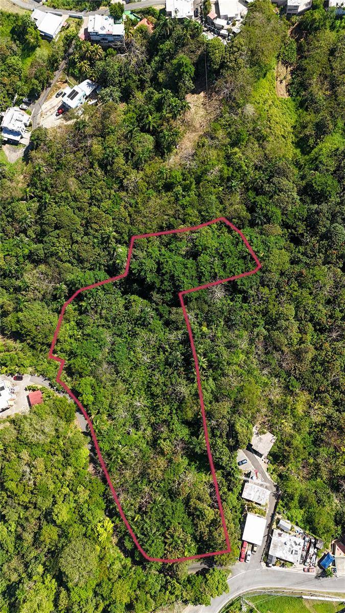 Carr. 414 KM 3.2 BO.CRUCES, Aguada, PR 00602