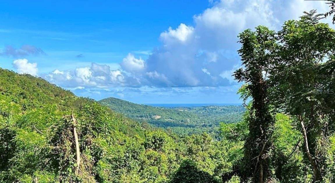 LAS LOMAS, Canovanas, PR 00729