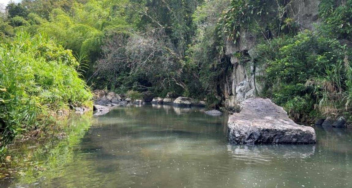 LAS LOMAS, Canovanas, PR 00729
