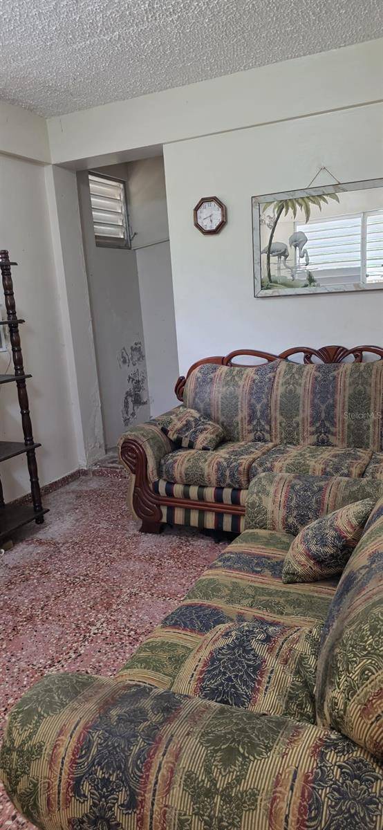 53 Aquilino CARR. 430, BO. OVEJAS, Anasco, PR 00610