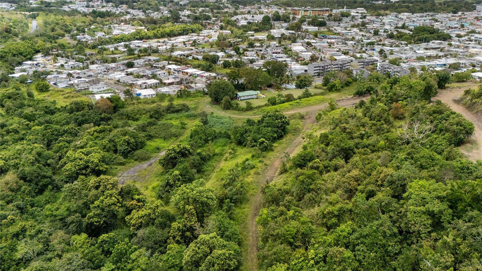 442 URB. VALLE ALTO AVE, Cayey, PR 00736