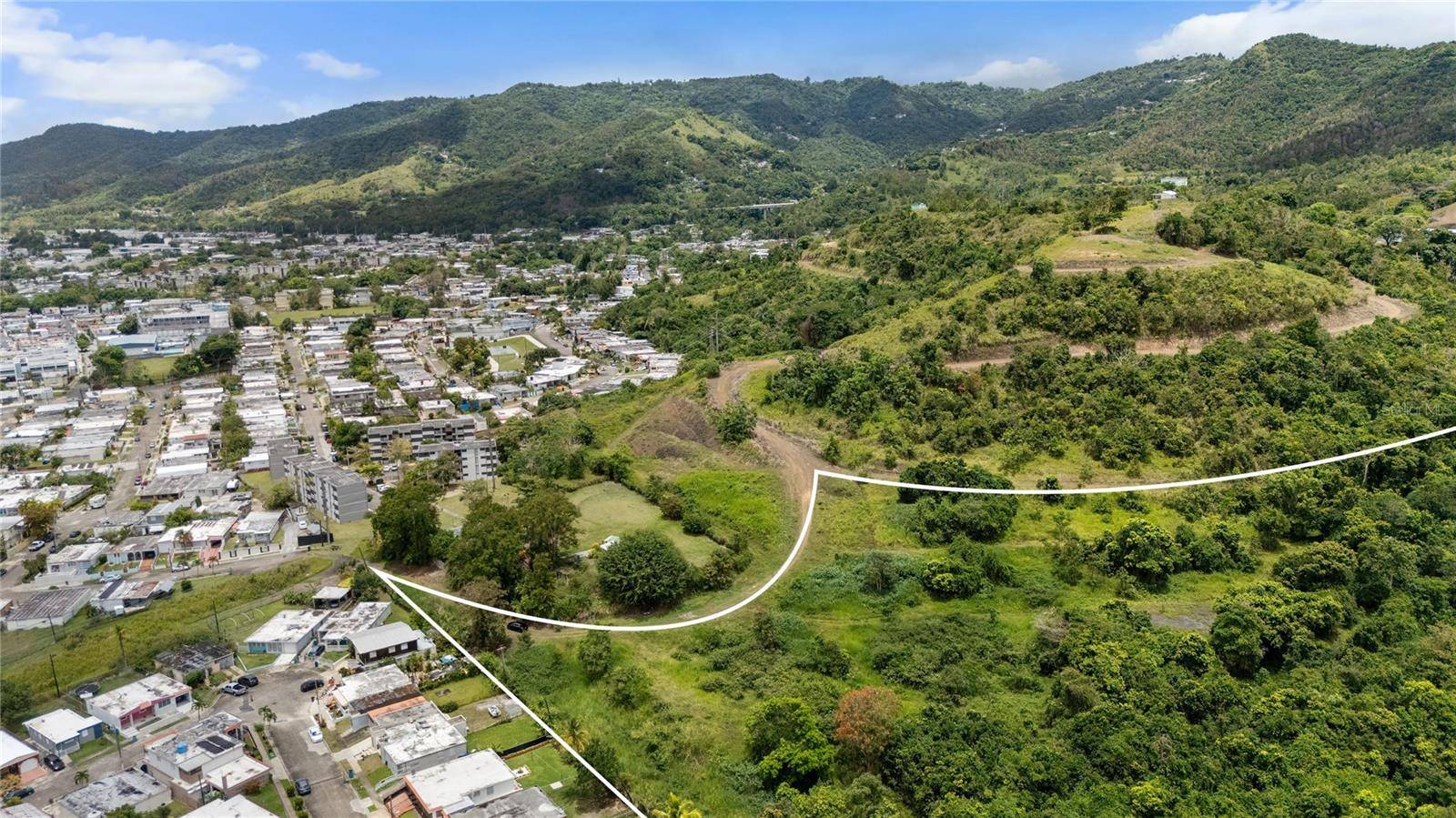 442 URB. VALLE ALTO AVE, Cayey, PR 00736