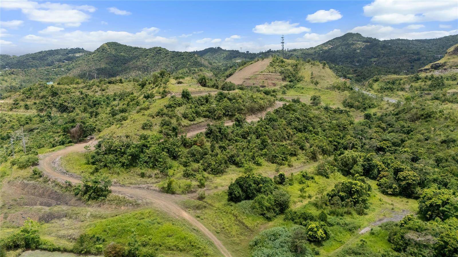 442 URB. VALLE ALTO AVE, Cayey, PR 00736