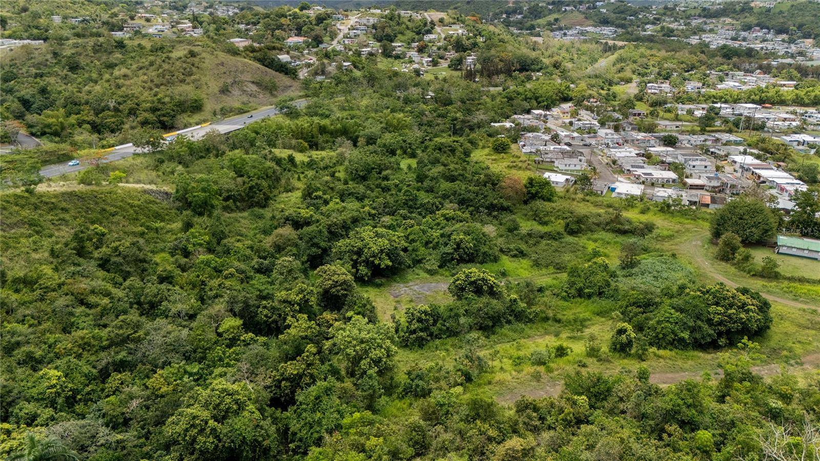 442 URB. VALLE ALTO AVE, Cayey, PR 00736