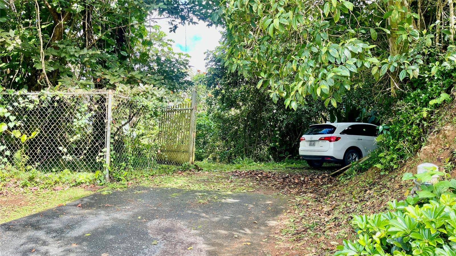 718 BO. PASTO RD, Aibonito, PR 00705