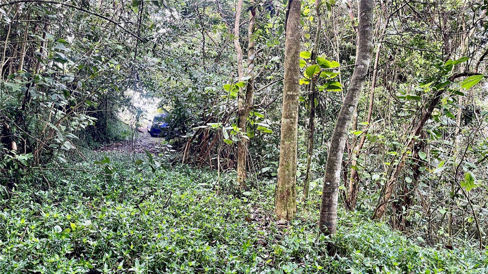 718 BO. PASTO RD, Aibonito, PR 00705