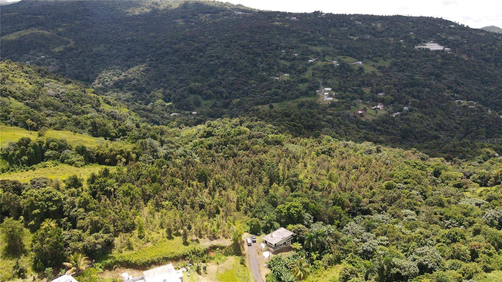 185 Km. 5.8 BO CAMPO RICO SECTOR PENIEL, Canovanas, PR 00729