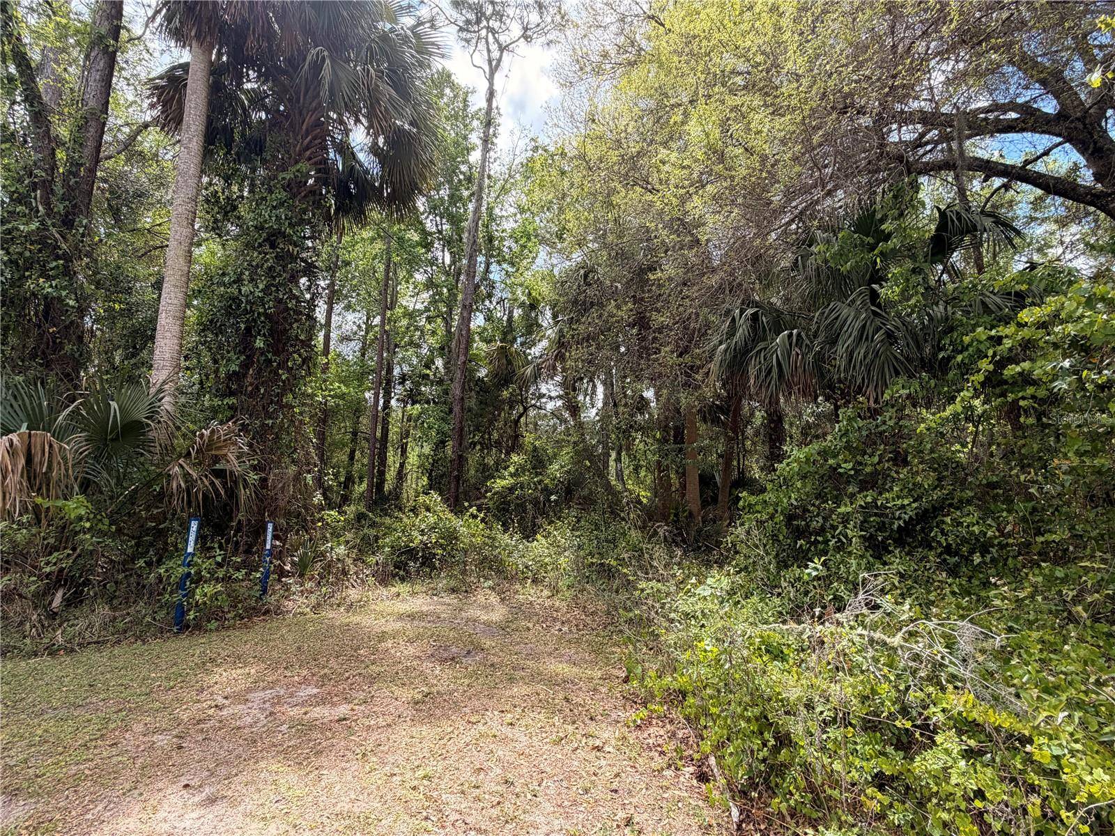 COUNTY ROAD 445A, Astor, FL 32102