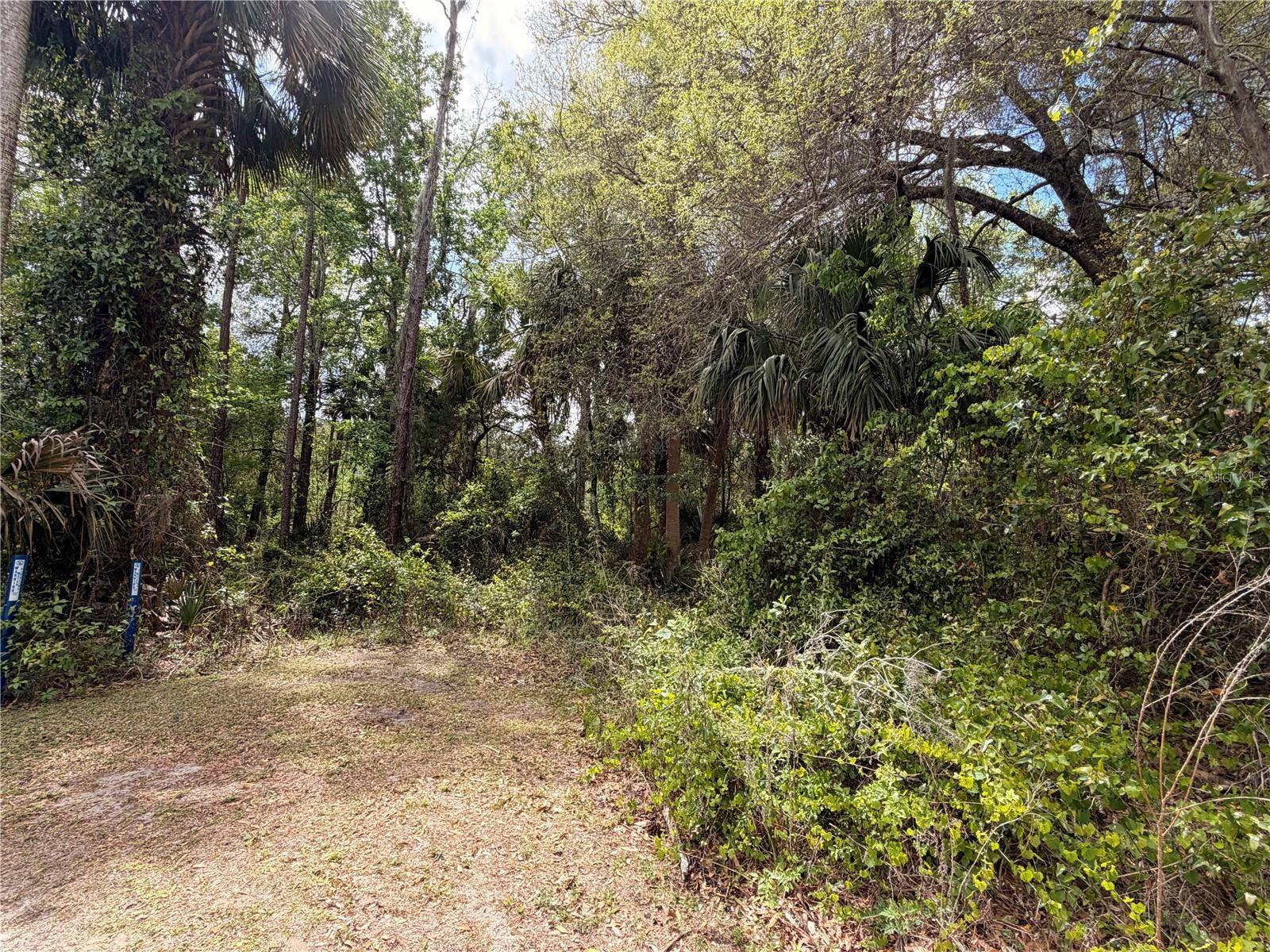 COUNTY ROAD 445A, Astor, FL 32102