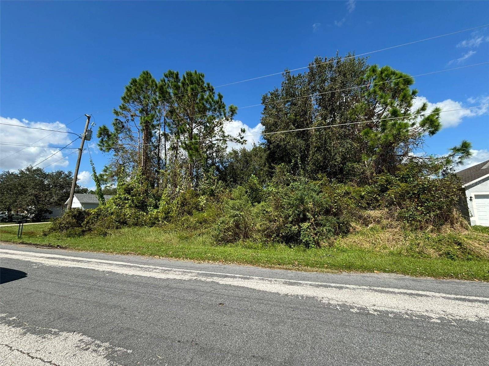 310 CARDIFF DRIVE, Poinciana, FL 34758