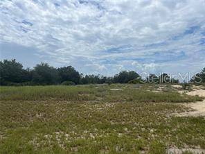 1322 HILLSBOROUGH DR, Kissimmee, FL 34759