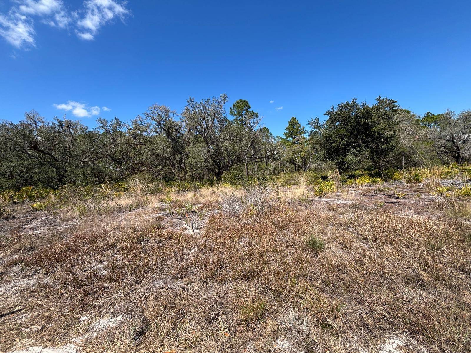 1006 PALM AVE, Indian Lake Estates, FL 33855