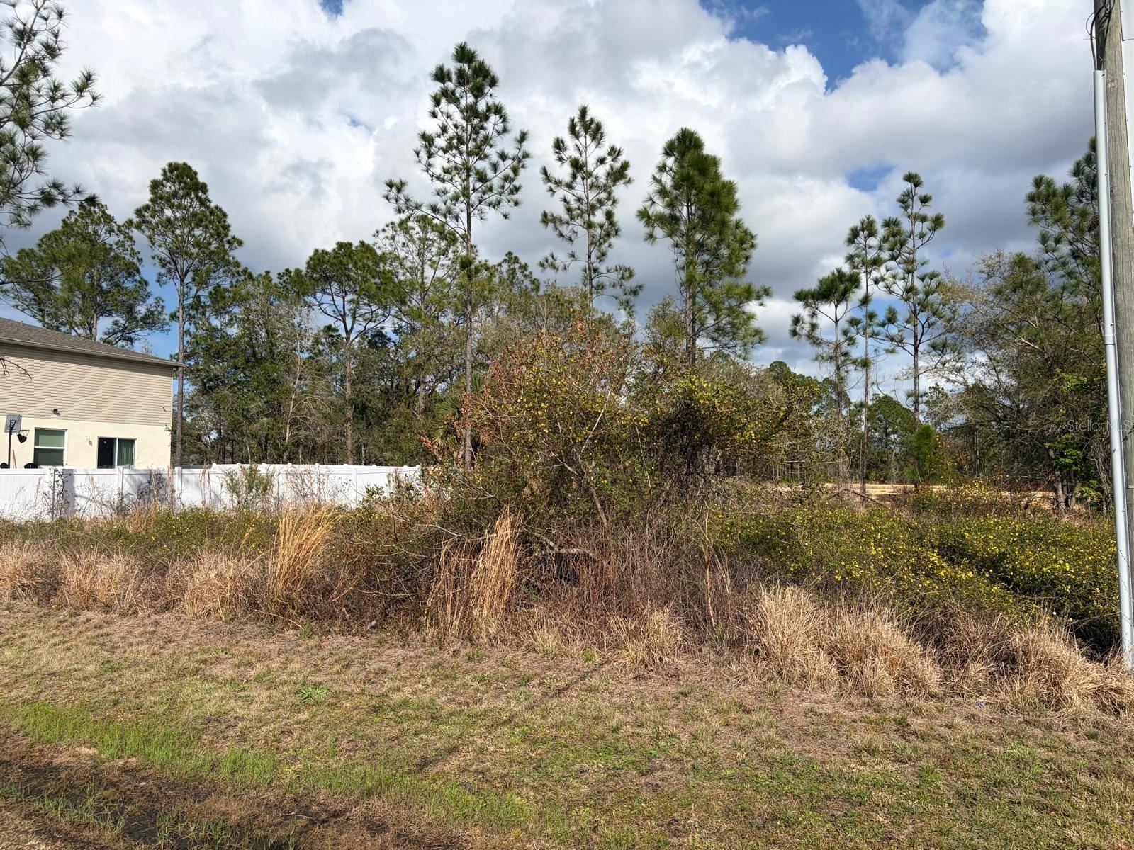 202 SPOONBILL DR, Poinciana, FL 34759