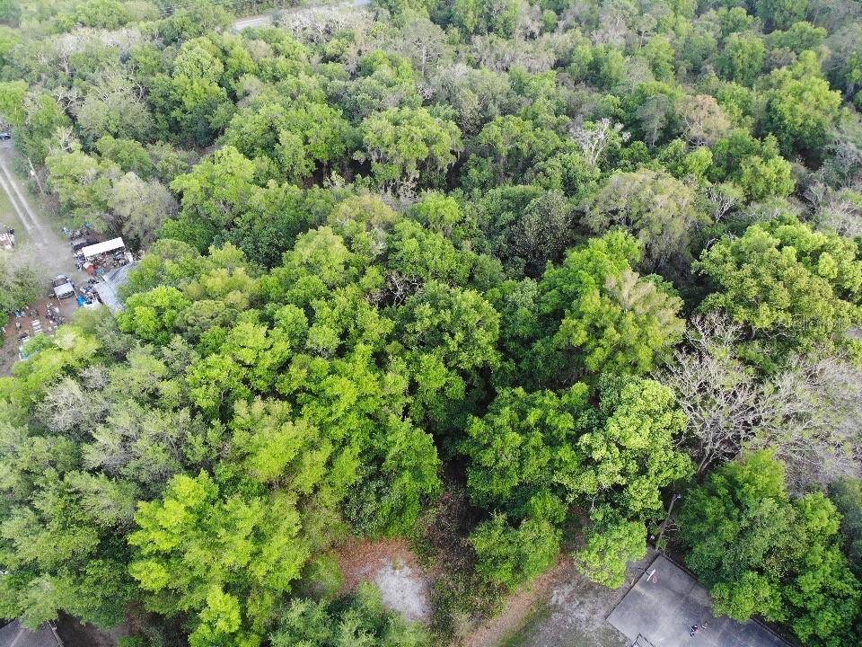 2156 OLD HICKORY TREE RD, St Cloud, FL 34772