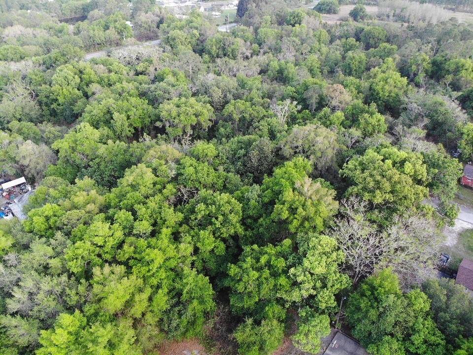 2156 OLD HICKORY TREE RD, St Cloud, FL 34772