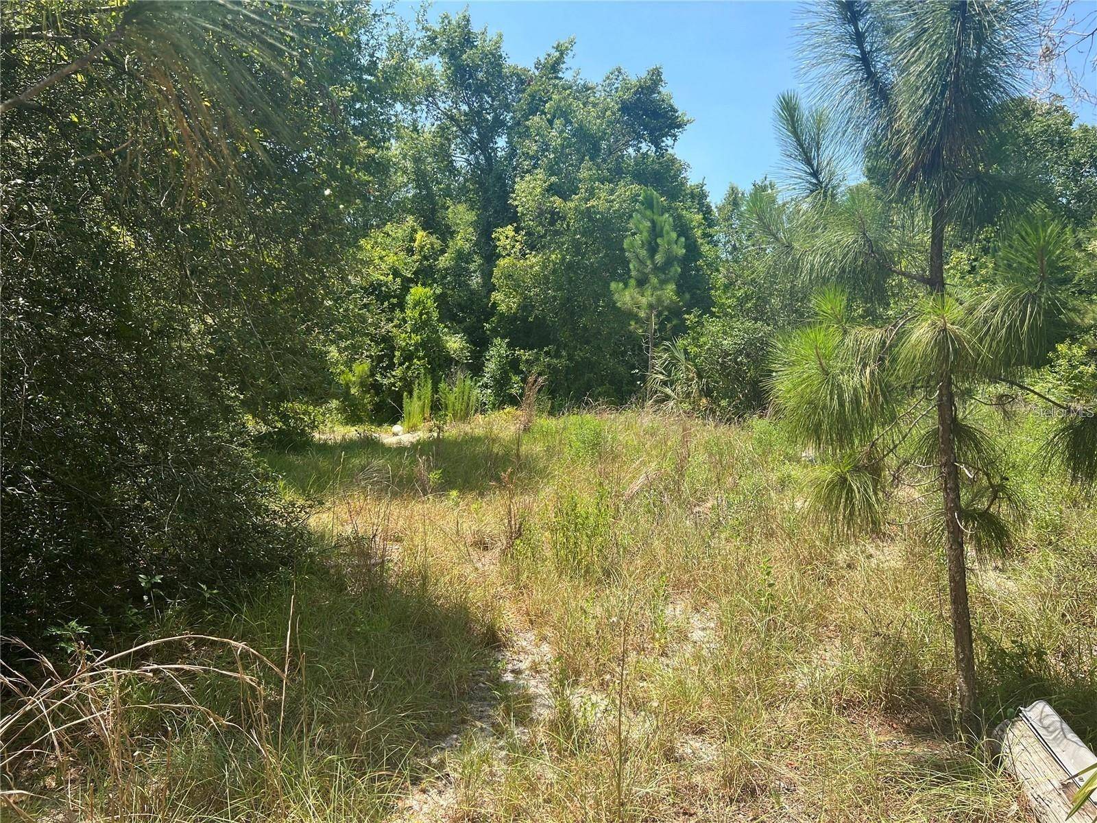 40314 LIME ST, Eustis, FL 32736