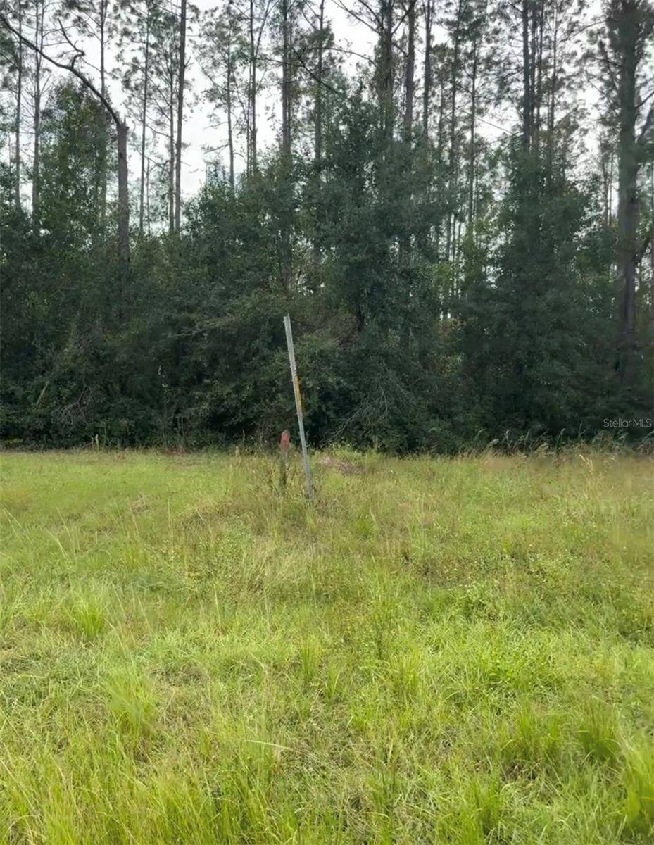 LAKE SMITH RD, Umatilla, FL 32784