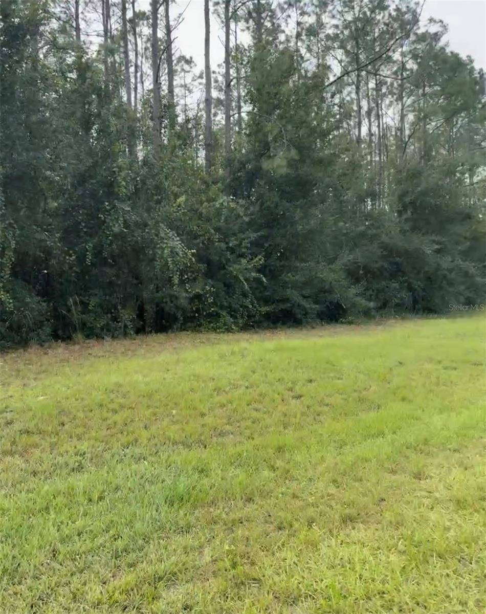 LAKE SMITH RD, Umatilla, FL 32784