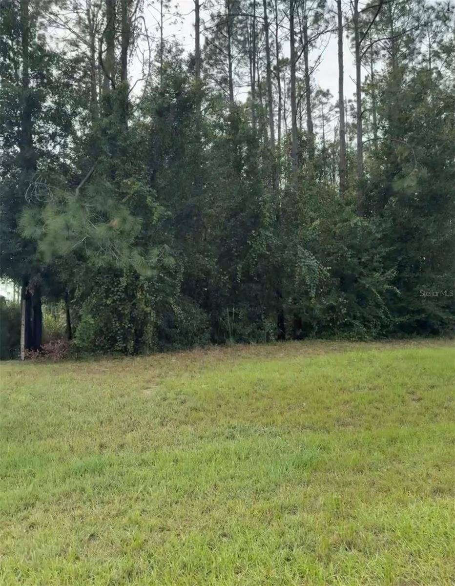 LAKE SMITH RD, Umatilla, FL 32784