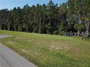 LAKE SMITH RD, Umatilla, FL 32784