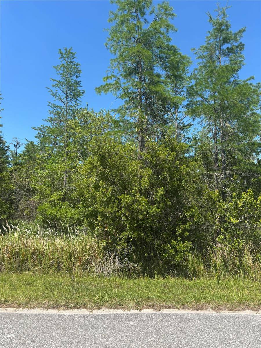 ATLAS DR, St Cloud, FL 34773