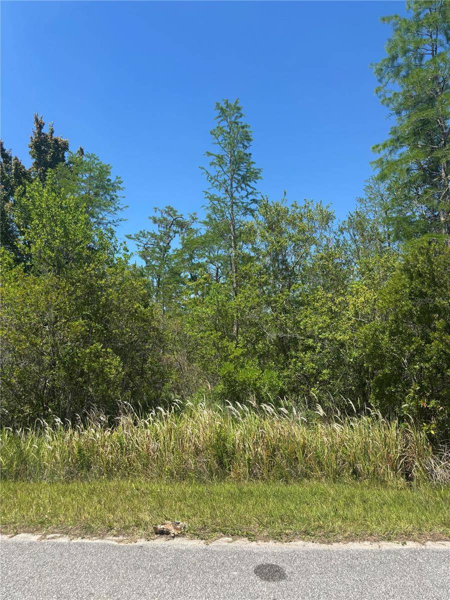 ATLAS DR, St Cloud, FL 34773