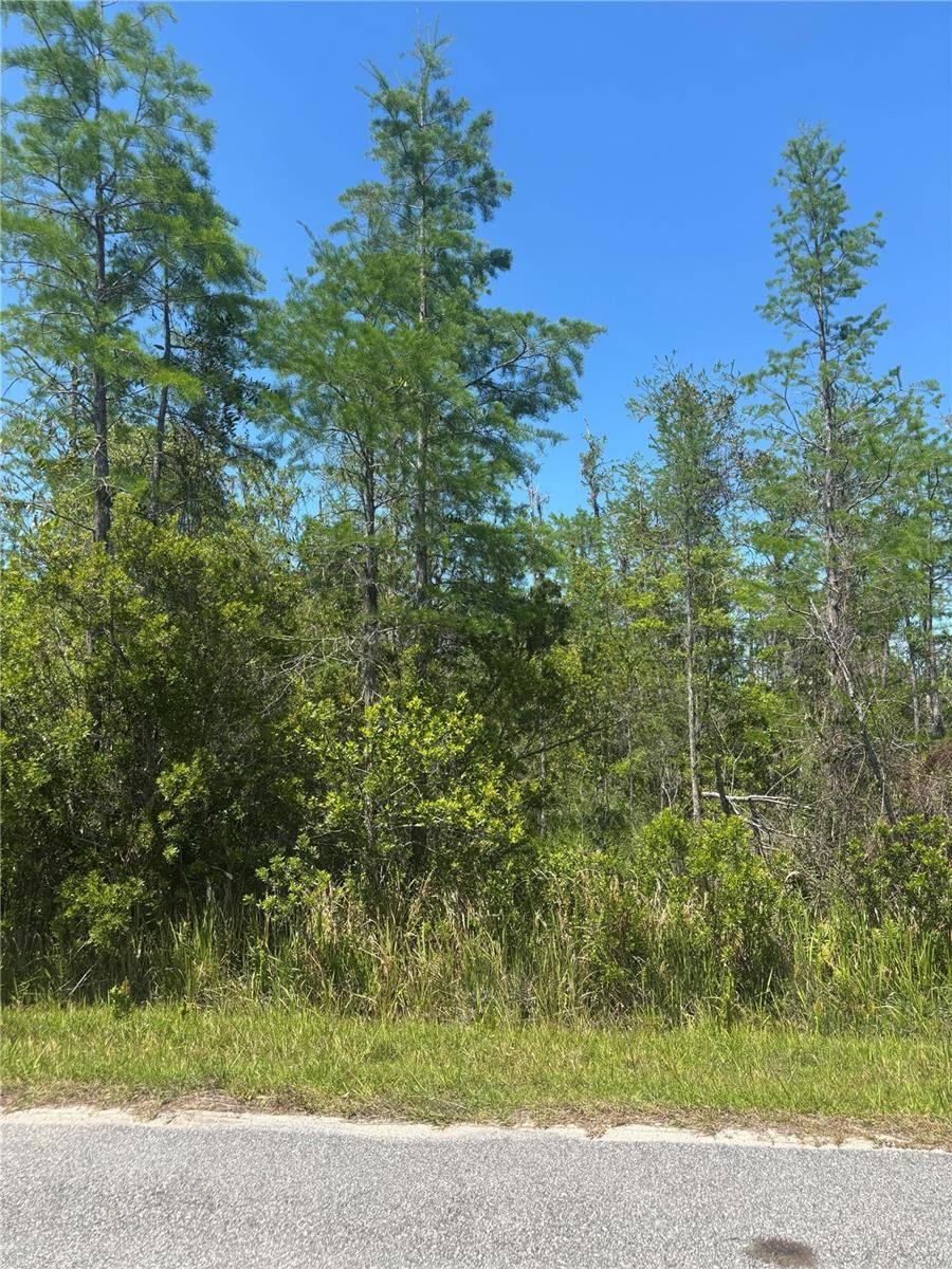 ATLAS DR, St Cloud, FL 34773
