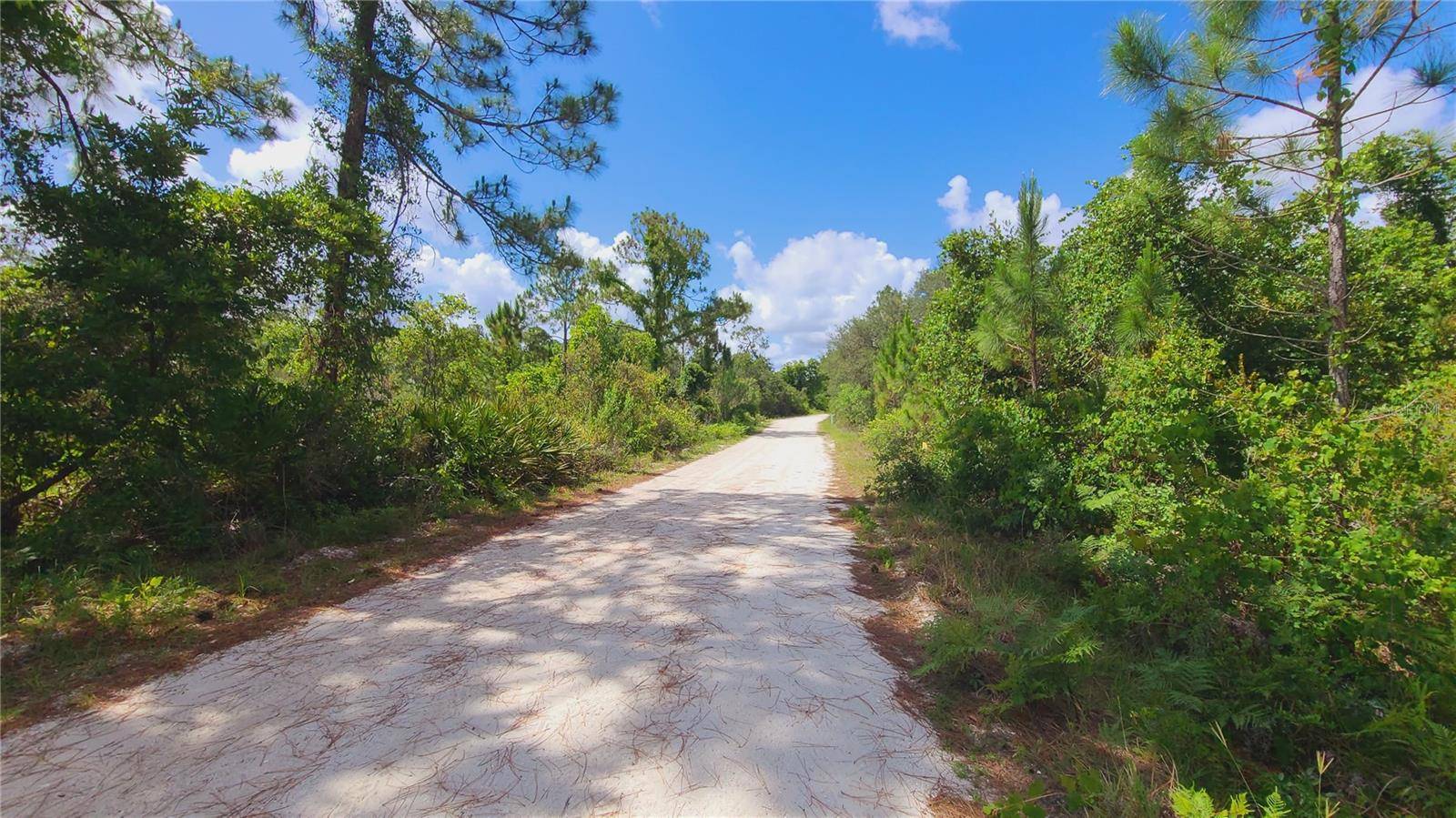 2575 BEAR RUN S, Frostproof, FL 33843