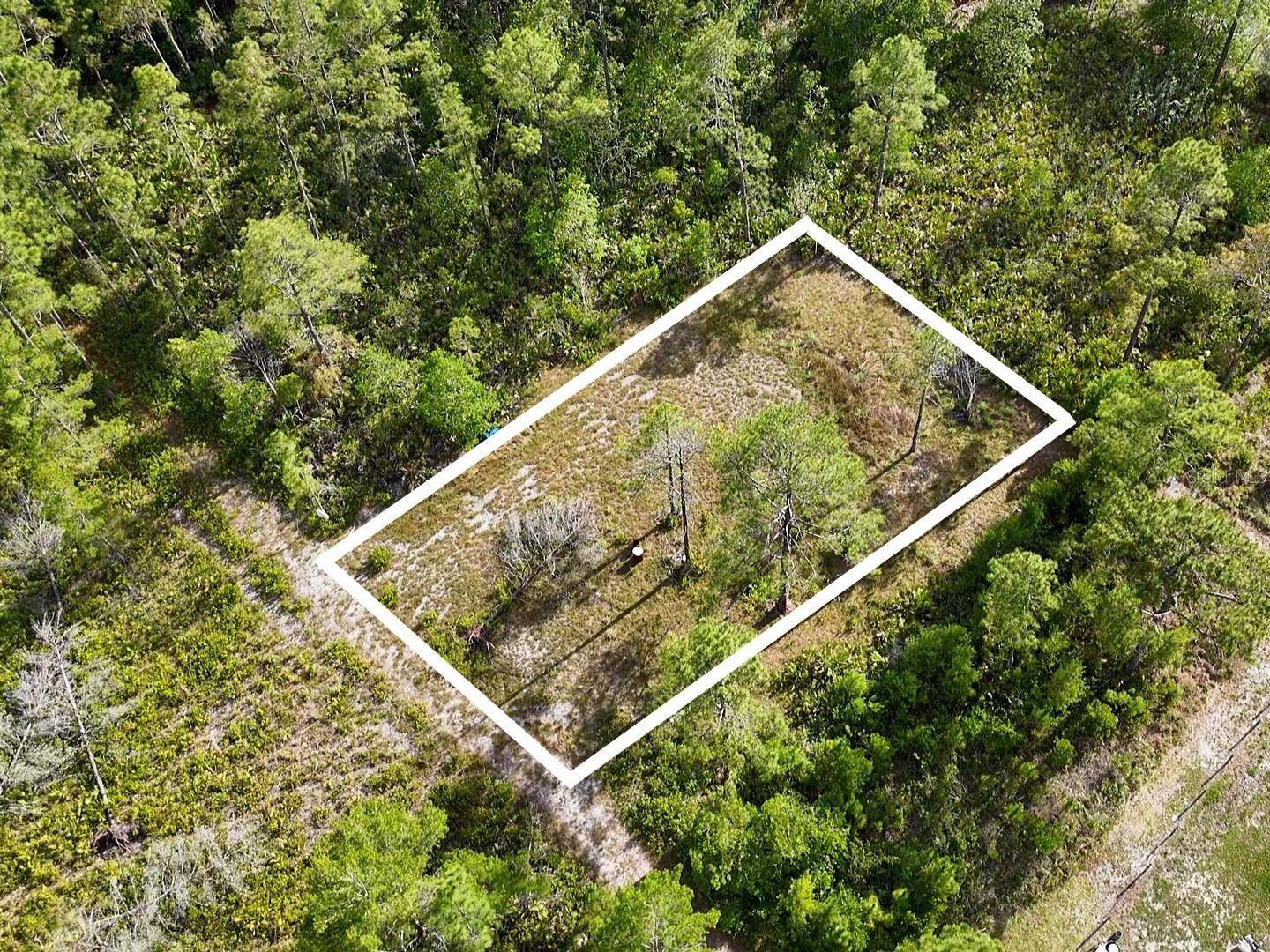 56309 VIRGINIA ST, Paisley, FL 32767