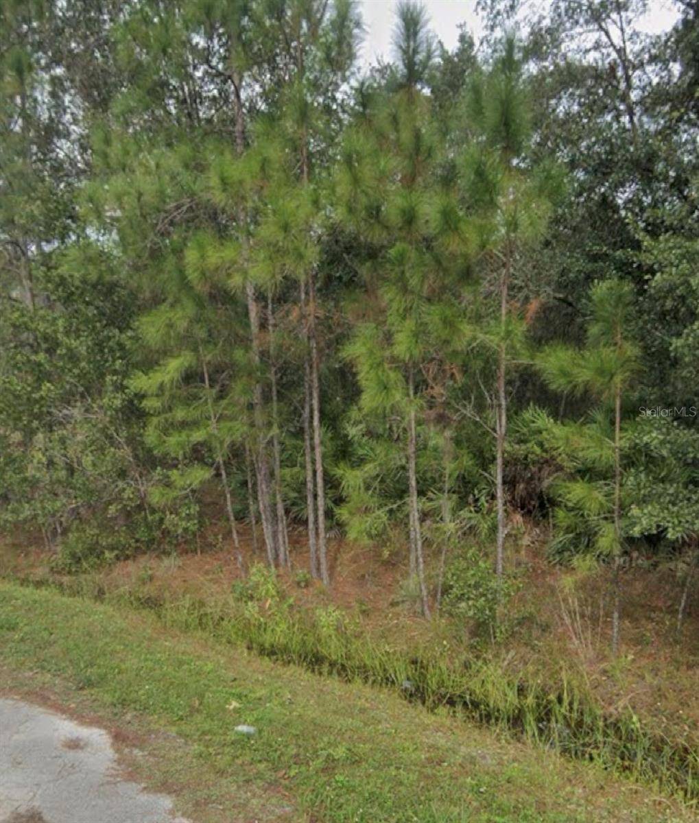 1437 TERN CT, Poinciana, FL 34759