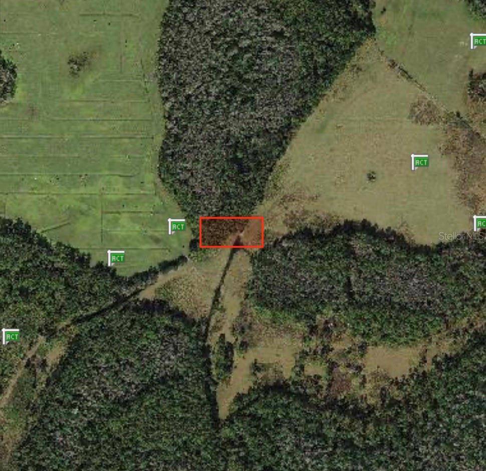 POLK CITY, Polk City, FL 33868
