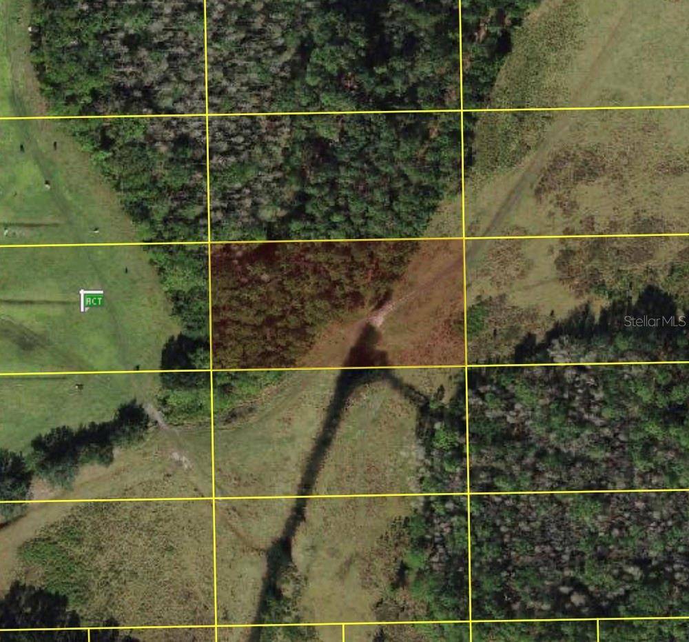 POLK CITY, Polk City, FL 33868