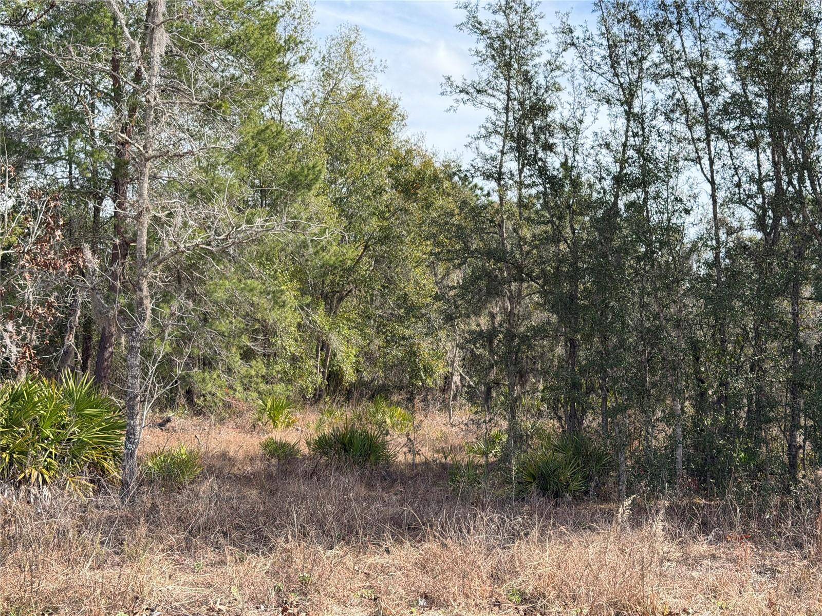 16426 COURLAN RD, Brooksville, FL 34614