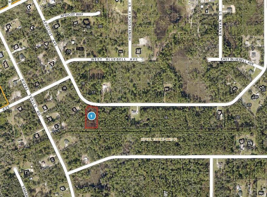 APRICOT AVE, Eustis, FL 32736