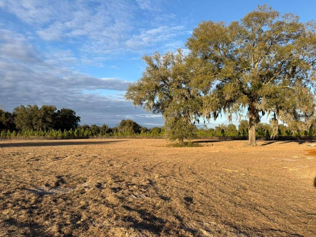 5215 SW 125TH CIR, Archer, FL 32618