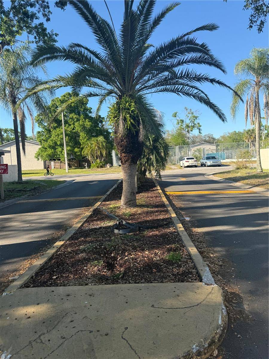 5118 TENNIS COURT CIRCLE, Tampa, FL 33617